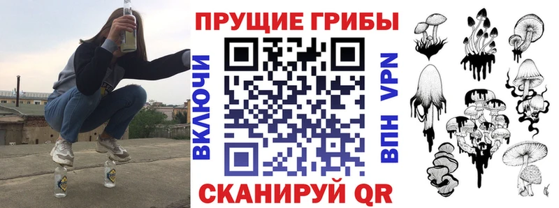 Псилоцибиновые грибы GOLDEN TEACHER сколько стоит Серпухов
